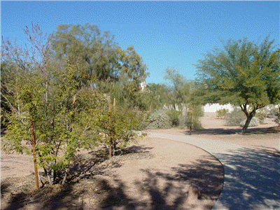 Tempe Xeriscape Demonstration Garden 2